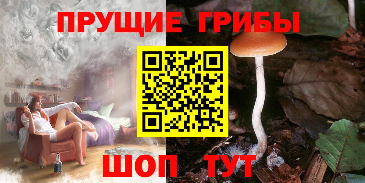 наркошоп  Вход с VPN  Урус-Мартан  Галлюциногенные грибы мухоморы 