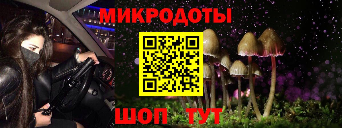 Галлюциногенные грибы Psilocybe Урус-Мартан